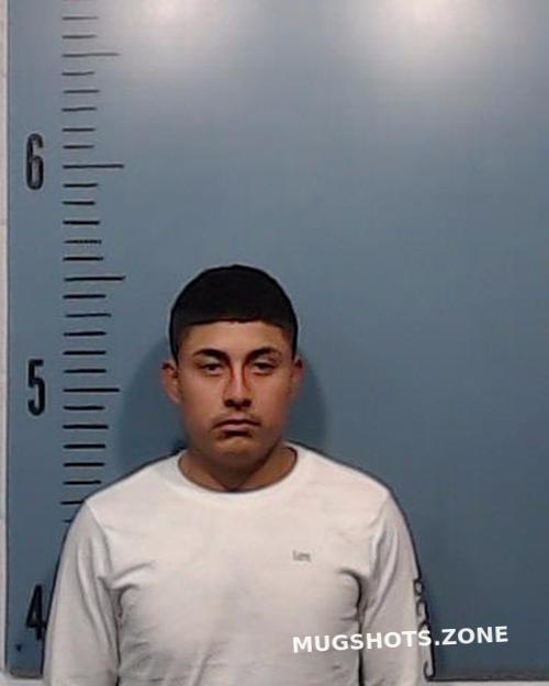 Rojas Bustos Brayan 01 07 2023 Taylor County Mugshots Zone