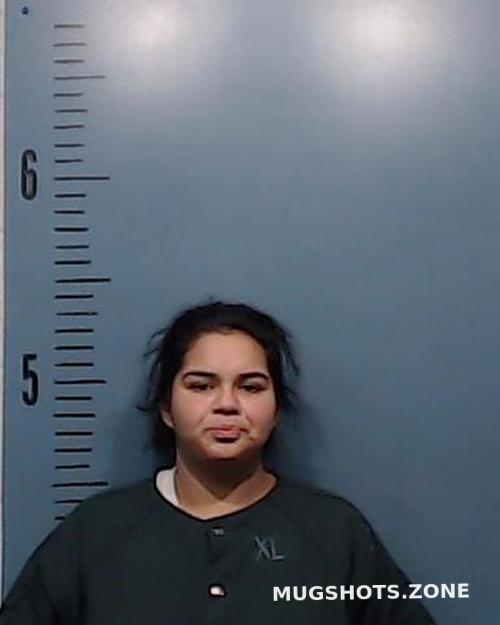 GUTIERREZ BIANCA MONIQUE 01/13/2023 Taylor County Mugshots Zone