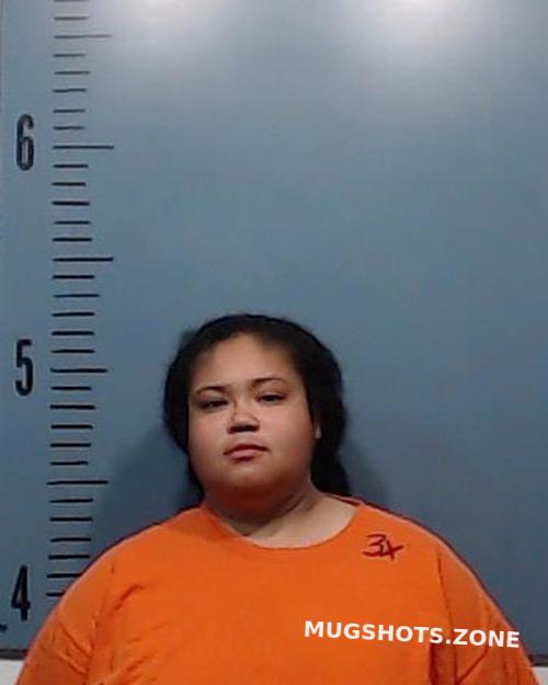 Lewis Mieka Neshae 01 21 2023 Taylor County Mugshots Zone