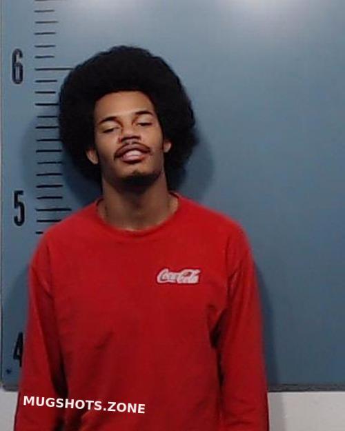 Woodards Stephon Deshawn 01 27 2023 Taylor County Mugshots Zone