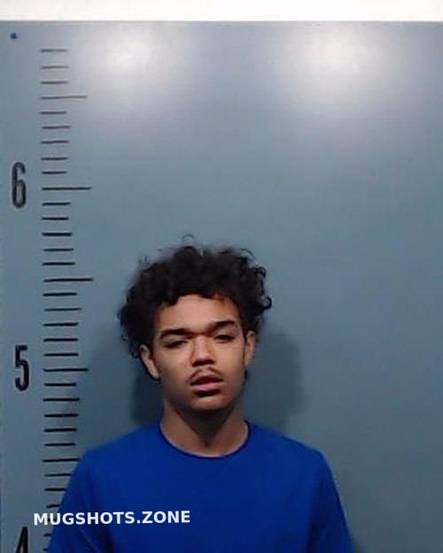 GREENE JEREMIAH TRAYSHAWN TREMALE 03/15/2023 - Taylor County Mugshots Zone