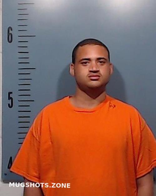 DAVIS BRENTON LADON 06/05/2023 Taylor County Mugshots Zone