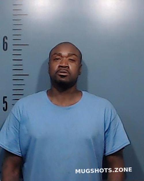 BAILEY BARRY LYNN 07/07/2023 Taylor County Mugshots Zone