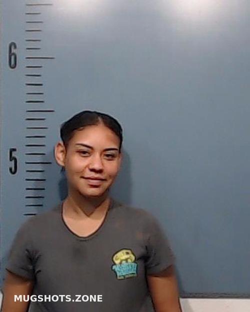 JOHNSON JAZMYN AALIYAH 08/21/2023 Taylor County Mugshots Zone