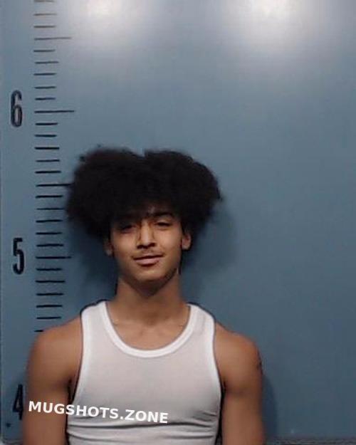 WEST JORDAN XAVIER 11/29/2023 Taylor County Mugshots Zone