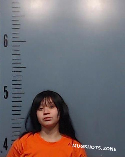 Rodriguez Gabriela Marie 02 23 2024 Taylor County Mugshots Zone