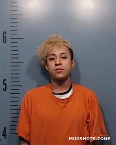 JACKSON DEVON TANAKA 03/01/2024 - Taylor County Mugshots Zone