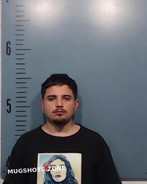 GUERRERO ANTONIO RAUL 03/10/2024 - Taylor County Mugshots Zone