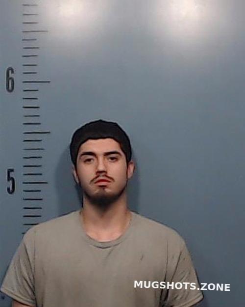 PEDROZA NOAH ETHAN 03/23/2024 - Taylor County Mugshots Zone