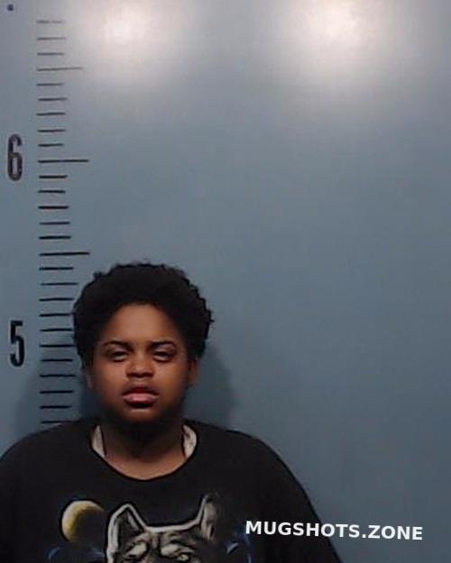 JOHNSON RANDI BRENAE 05/03/2024 - Taylor County Mugshots Zone