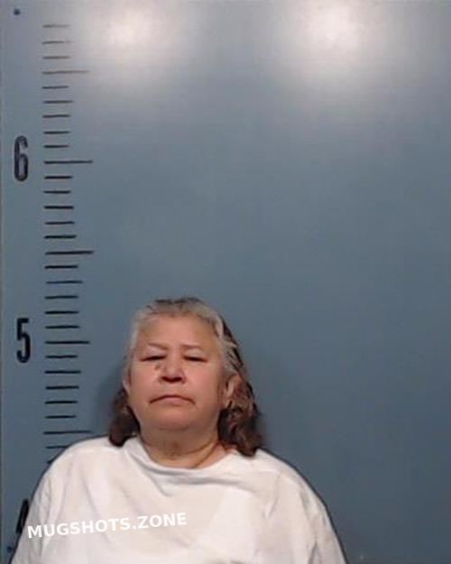 Salas Nelda Kay 05282024 Taylor County Mugshots Zone