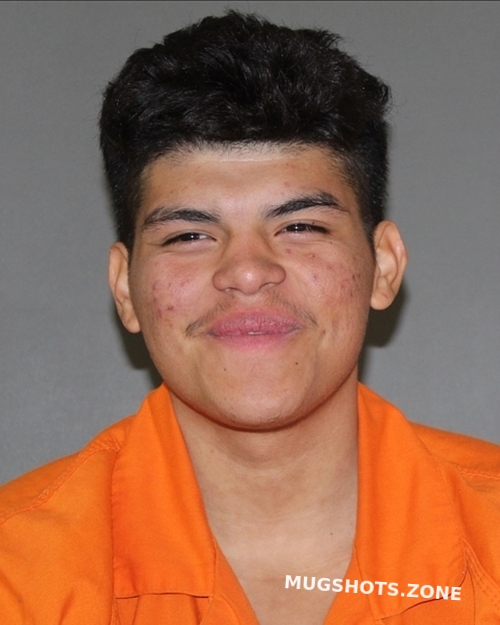 RAMIREZ ALEXANDER REYES 01/08/2024 Titus County Mugshots Zone