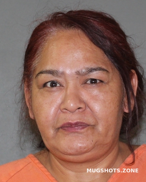 HERNANDEZ MARIA ELOISA 01/08/2024 Titus County Mugshots Zone