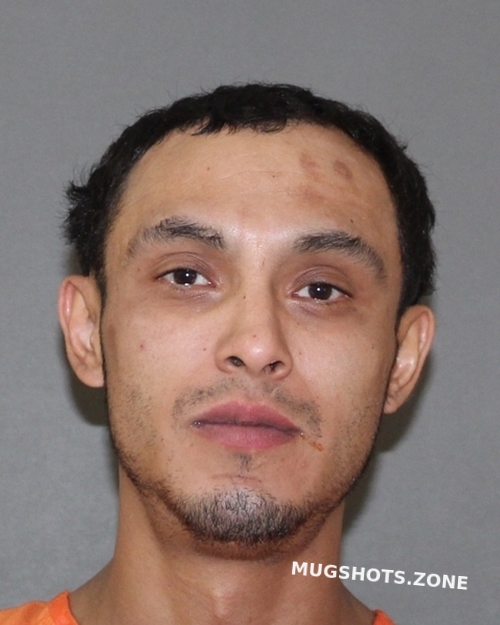 ALMAZAN MIGUEL ANGEL 01/25/2024 Titus County Mugshots Zone