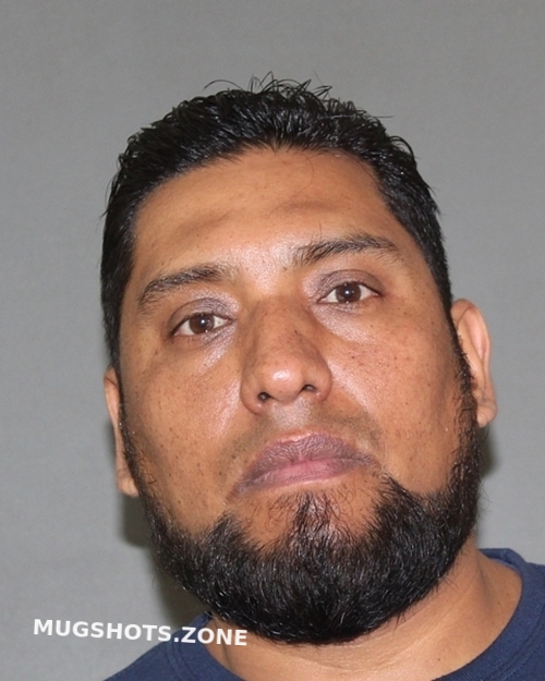LOZANONAVA LUIS ALONSO 01/30/2024 Titus County Mugshots Zone