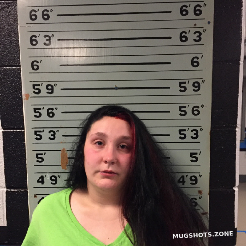 Plemmons Hailey Mae 02 23 2021 Transylvania County Mugshots Zone