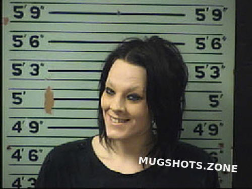 Mcdonald Hali Renae 03 02 2021 Transylvania County Mugshots Zone