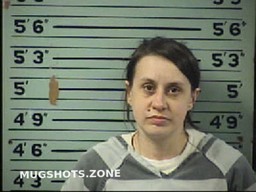 Brooks Kristi Danielle 02 18 2022 Transylvania County Mugshots Zone