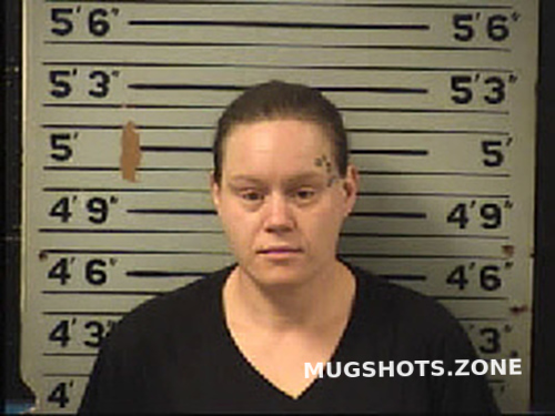 Butler Julie Michelle 03 02 2022 Transylvania County Mugshots Zone