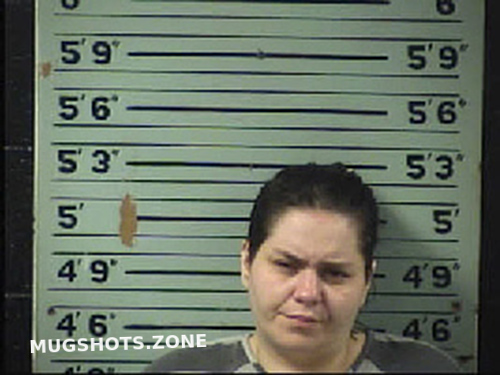 Custer Erica Marie 03 07 2022 Transylvania County Mugshots Zone