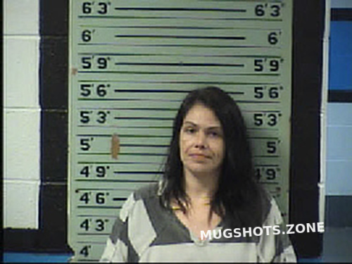 KLIER TABITHA LYNN 03/07/2022 - Transylvania County Mugshots Zone