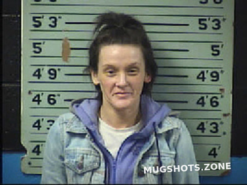 Begley Dianna Lynne 03 10 2022 Transylvania County Mugshots Zone