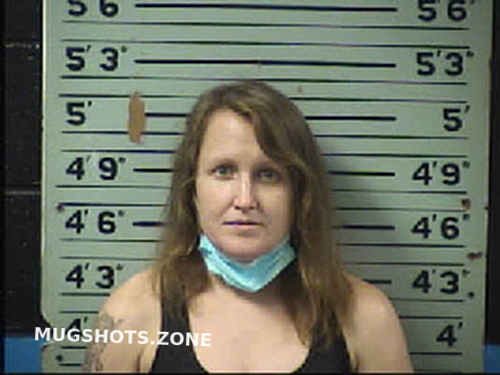 Hicks Cynthia Ann 05 17 2022 Transylvania County Mugshots Zone