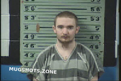 Anders Tyler Lynn 05 17 2022 Transylvania County Mugshots Zone