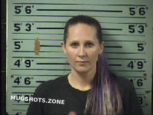 Zimmermann Jessica Lynn 06 03 2022 Transylvania County Mugshots Zone