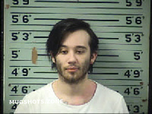 Nicholson Brandon Cole 06 07 2022 Transylvania County Mugshots Zone