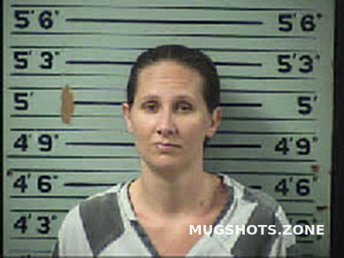 Zimmermann Jessica Lynn 06 17 2022 Transylvania County Mugshots Zone