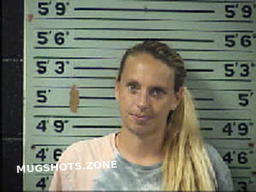 Lambert Tiffany Marie 07 13 2022 Transylvania County Mugshots Zone