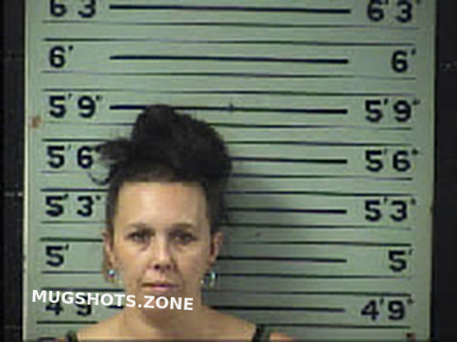 Galloway Lindsay Nicole 07 17 2022 Transylvania County Mugshots Zone