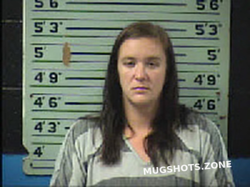 Story Candace Nichole 07 26 2022 Transylvania County Mugshots Zone