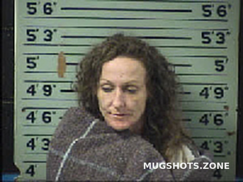 Mathis Traci Lynn 08 11 2022 Transylvania County Mugshots Zone