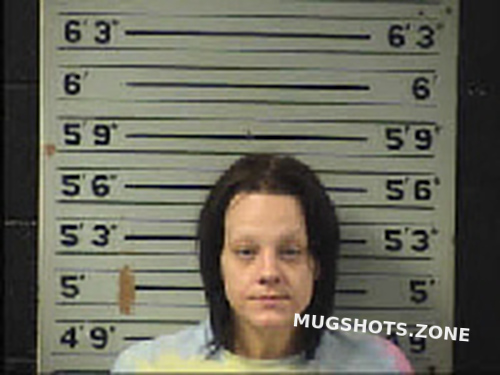 Mcdonald Hali Renae 08 21 2022 Transylvania County Mugshots Zone