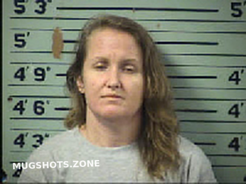 Hicks Cynthia Ann 08 28 2022 Transylvania County Mugshots Zone