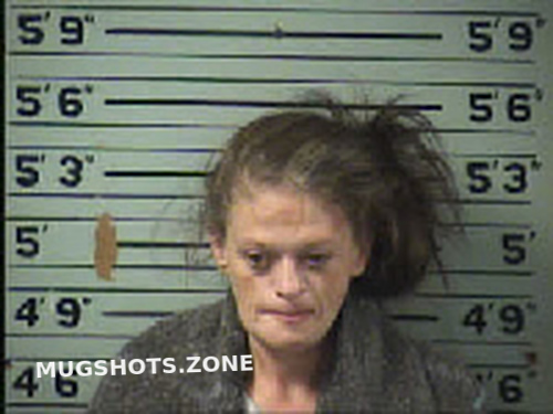 Sanchez Jennifer Robinson 10 10 2022 Transylvania County Mugshots Zone