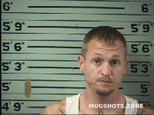 REESE JASON DAVID 10/11/2022 - Transylvania County Mugshots Zone
