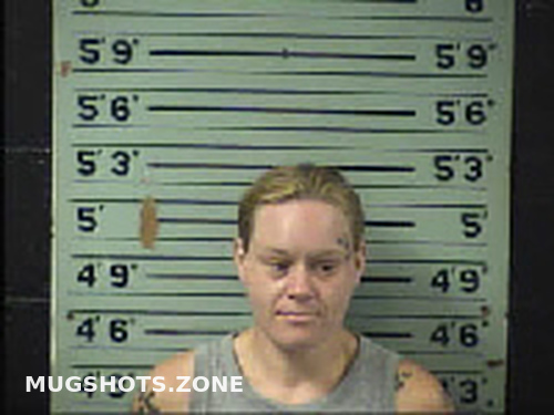 Butler Julie Michelle 10 24 2022 Transylvania County Mugshots Zone