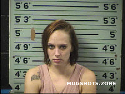 Owen Meghan Katarina 10 26 2022 Transylvania County Mugshots Zone