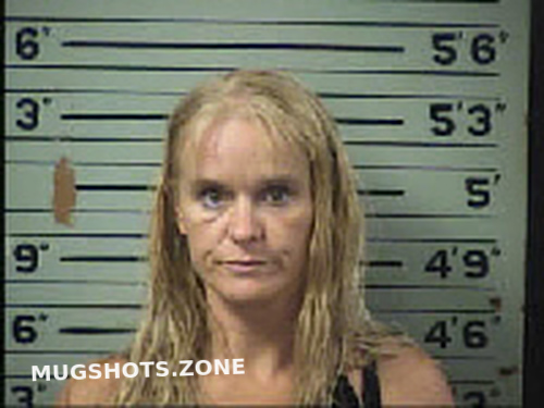 Hollins Crystal Gale 10 30 2022 Transylvania County Mugshots Zone