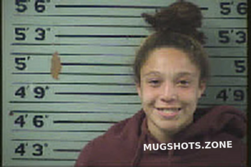 Morgan Allyana Michele 11 22 2022 Transylvania County Mugshots Zone