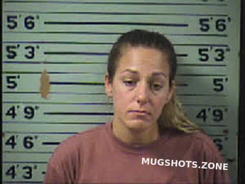 Owenby Melissa Danielle 11 26 2022 Transylvania County Mugshots Zone