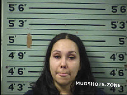 Chapman Brittany Elizabeth 11 29 2022 Transylvania County Mugshots Zone