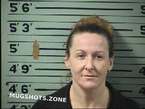 Mathis Traci Lynn 12 07 2022 Transylvania County Mugshots Zone