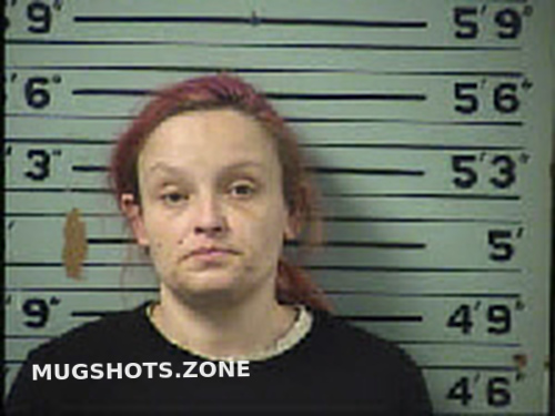 Connor Stephanie Ann 12 08 2022 Transylvania County Mugshots Zone