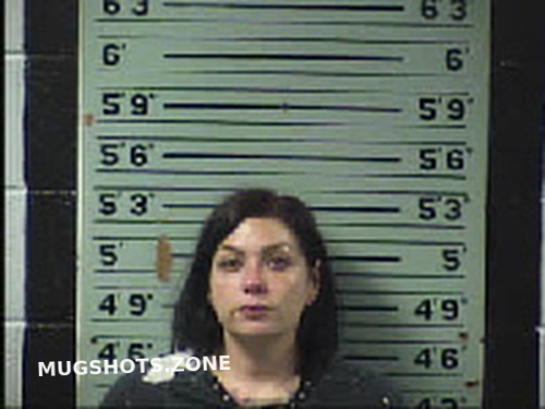 Bigwitch Christina Lynn 12 09 2022 Transylvania County Mugshots Zone