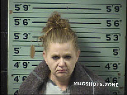 Carpenter Carrie Nichole 12 11 2022 Transylvania County Mugshots Zone