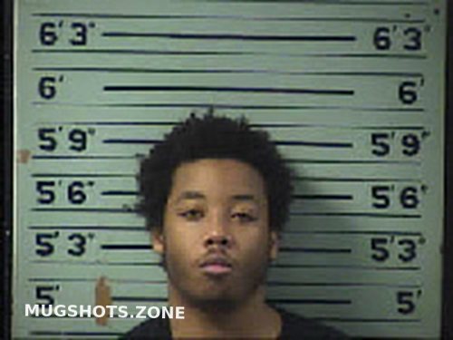 Featherstone Shyrone Elijah 12 16 2022 Transylvania County Mugshots Zone